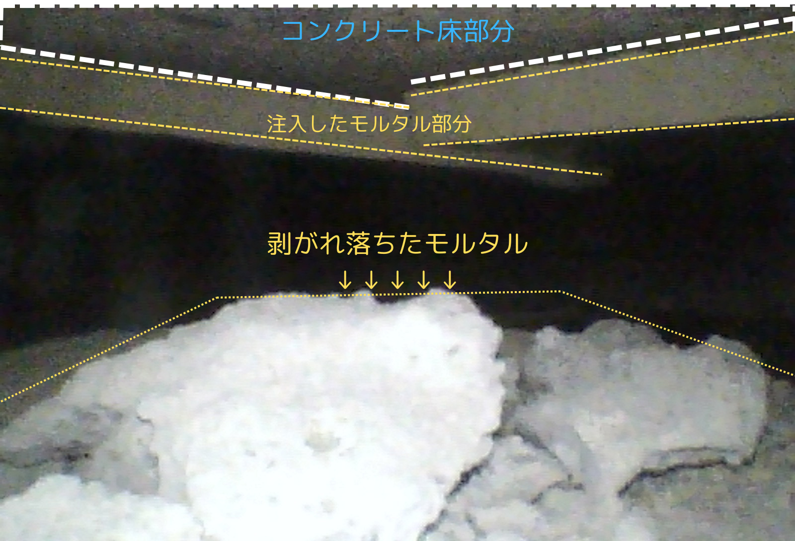 調査事例｜床の傾き・沈下でお悩みなら名古屋の麗和コーポレーション